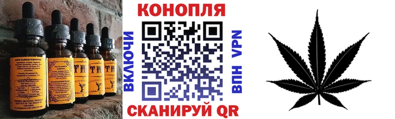 Cannafood марихуана  Новотитаровская 