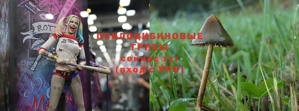 дмт Беломорск